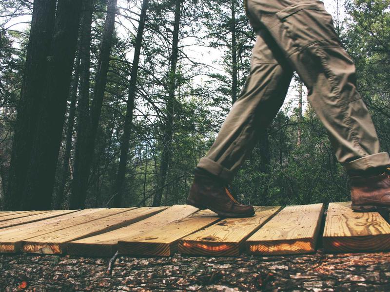 QueLinMirelVoren Moca